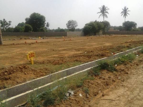 Images for Main Other of Tekton City Garden