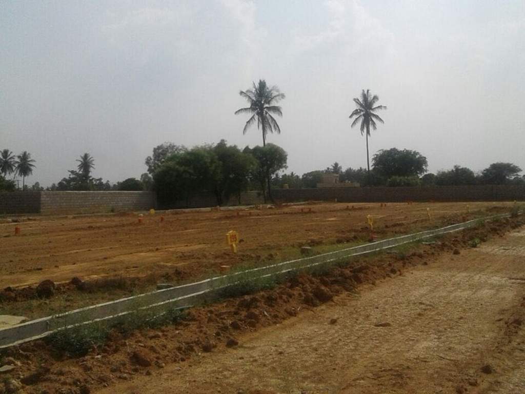 Images for Main Other of Tekton City Garden