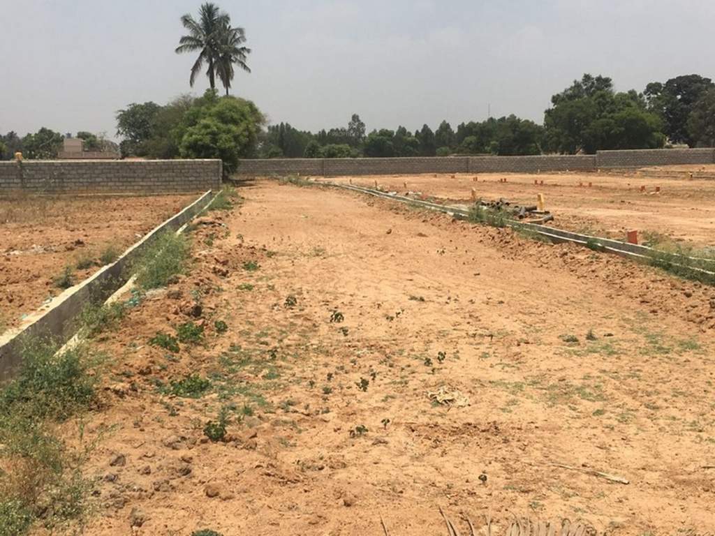 Images for Main Other of Tekton City Garden