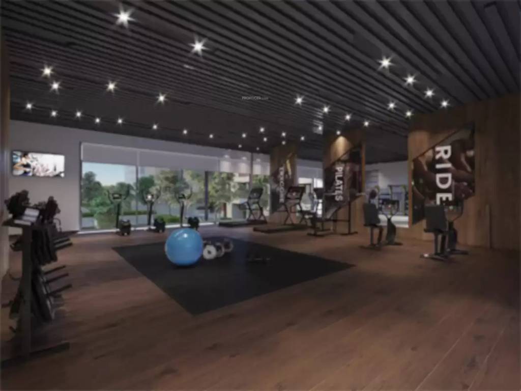  riviera elite Gymnasium