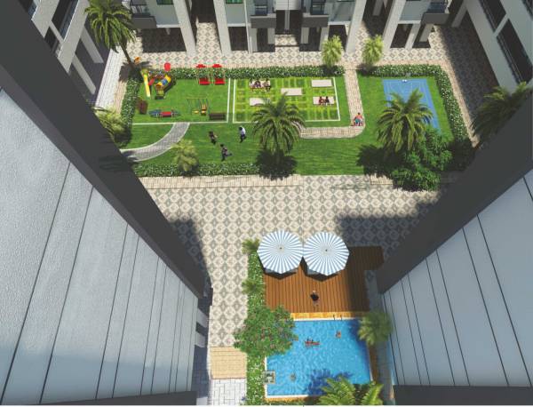 Others daffodils Others