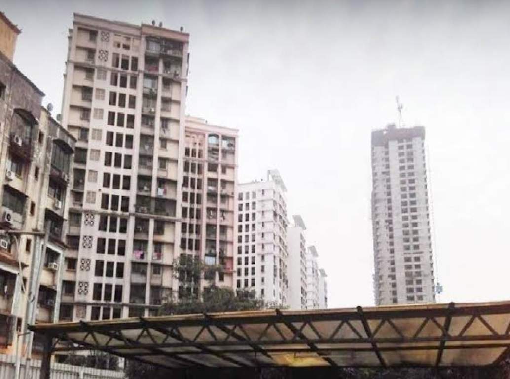  redwood building Elevation