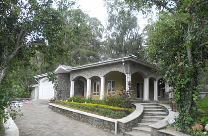 Images for Elevation of Palani Hills