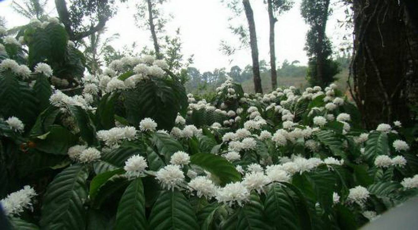 Images for Amenities of Palani Hills