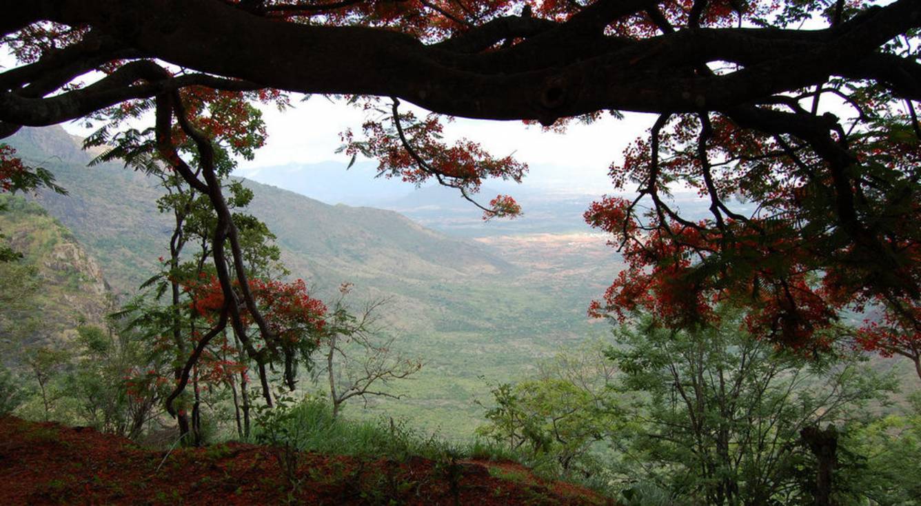 Images for Amenities of Palani Hills