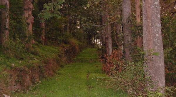 Images for Amenities of Palani Hills Images for Amenities of Palani Hills