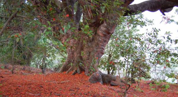 Images for Amenities of Palani Hills Images for Amenities of Palani Hills