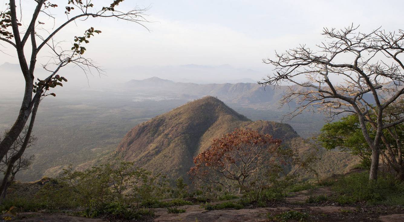 Images for Amenities of Palani Hills