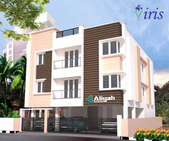 Images for Elevation of Aliyah Iris Images for Elevation of Aliyah Iris