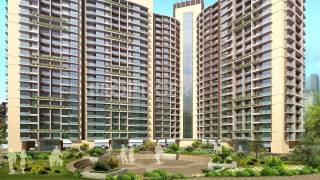 Project Image Project Image