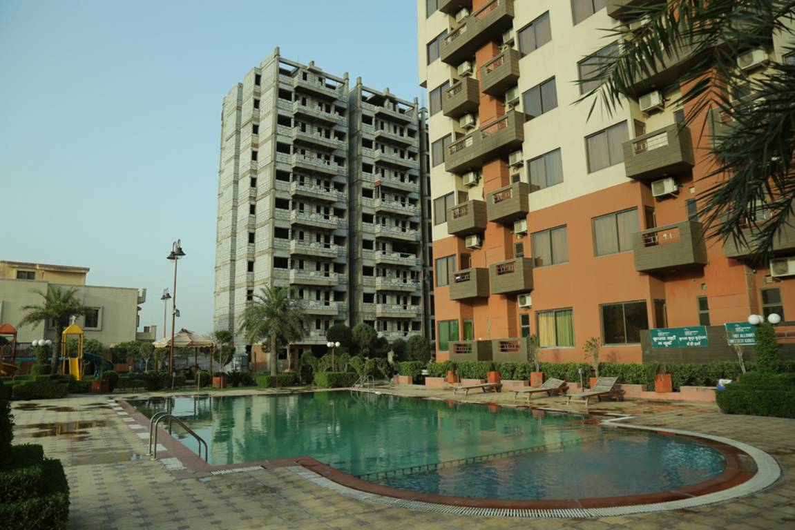 Images for Elevation of Express Hare Krishna Orchid