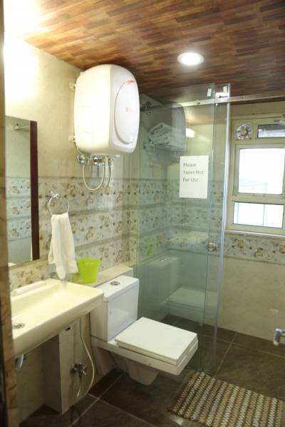 Images for Main Other of Express Hare Krishna Orchid Images for Main Other of Express Hare Krishna Orchid