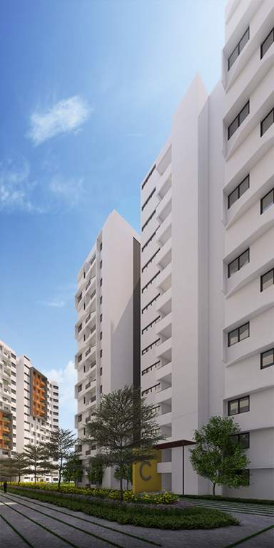  capitol Images for Elevation of Grand Capitol