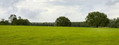 Images for Elevation of Vishnu Residential Land