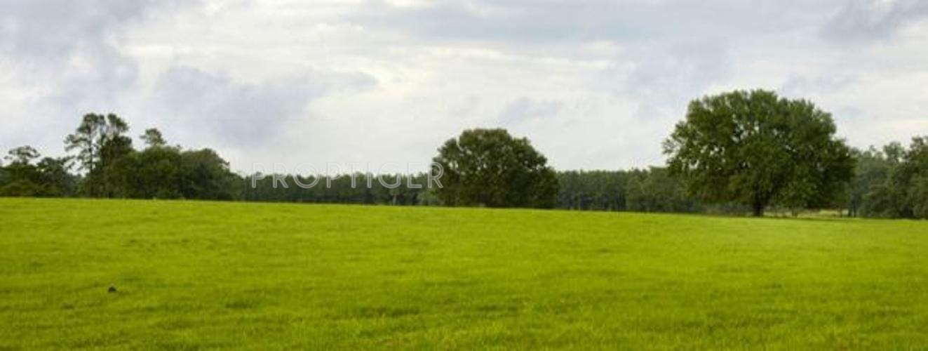 Images for Elevation of Vishnu Residential Land