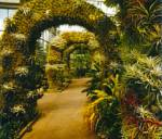 Images for Amenities of Sino Infrastructure Ltd Krishna Hamlets