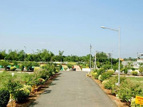 Landscape Garden and Tree Planting pioneer-county Landscape Garden and Tree Planting