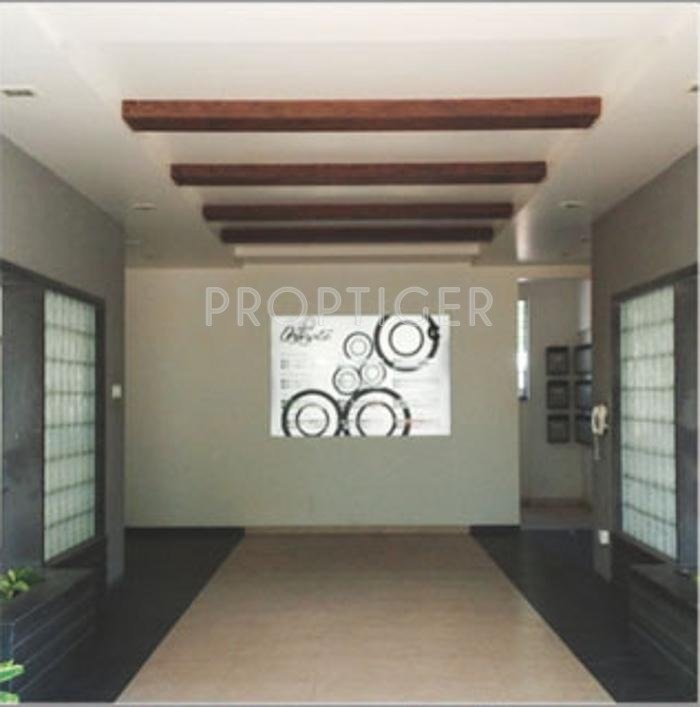 Images for Elevation of Amar Builders Pune Ornate