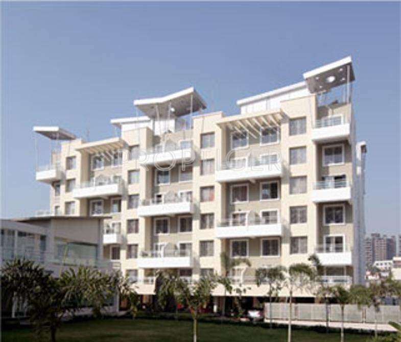  acacia Images for Elevation of Alcon Builders and Promoters Acacia