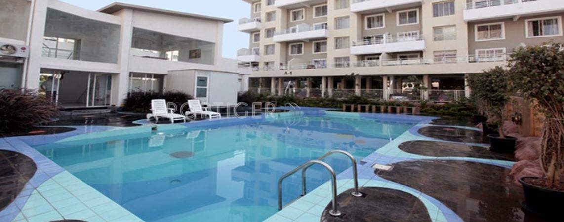  acacia Images for Elevation of Alcon Builders and Promoters Acacia