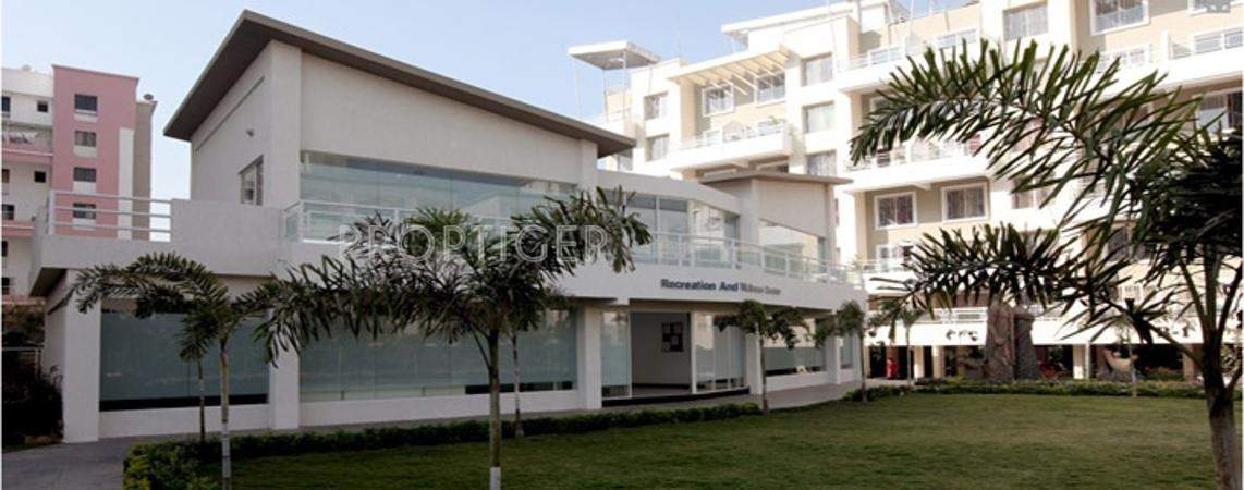  acacia Images for Elevation of Alcon Builders and Promoters Acacia