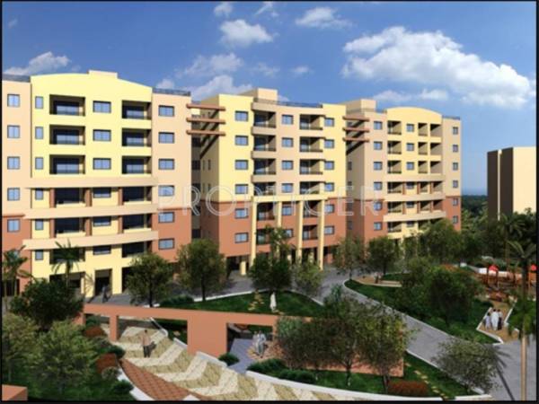 Purple Properties Rhythm Purple Properties Rhythm