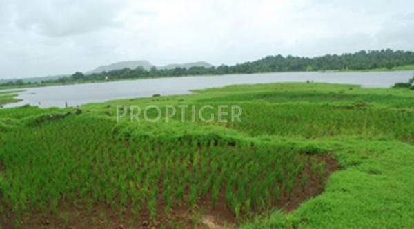 Images for Elevation of Veracity Vacation Valley Images for Elevation of Veracity Vacation Valley