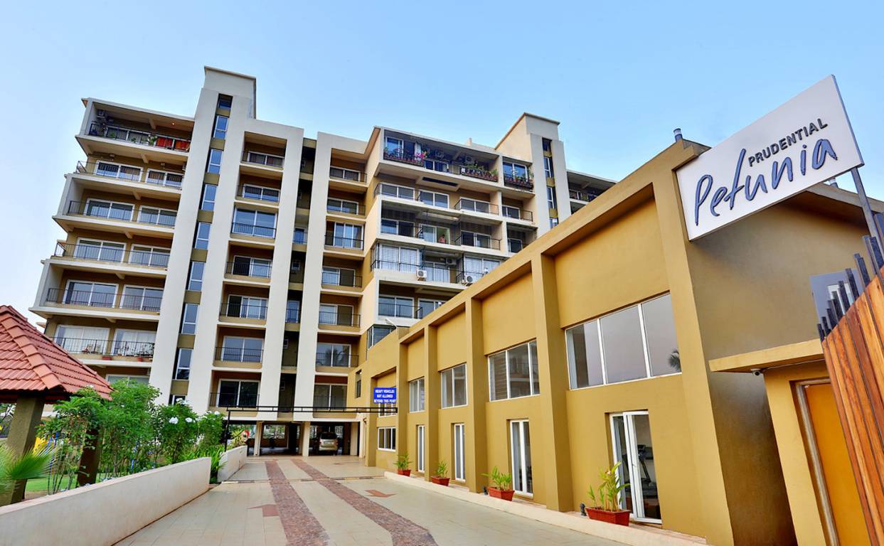 Images for Elevation of Tridentia Prudential Petunia