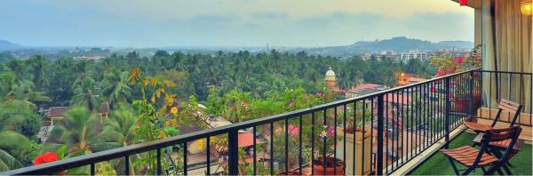 Images for Main Other of Tridentia Prudential Petunia