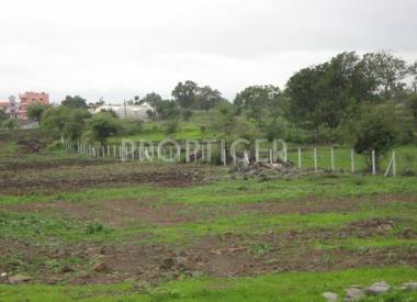 Images for Elevation of Aarohi Green Palms Images for Elevation of Aarohi Green Palms