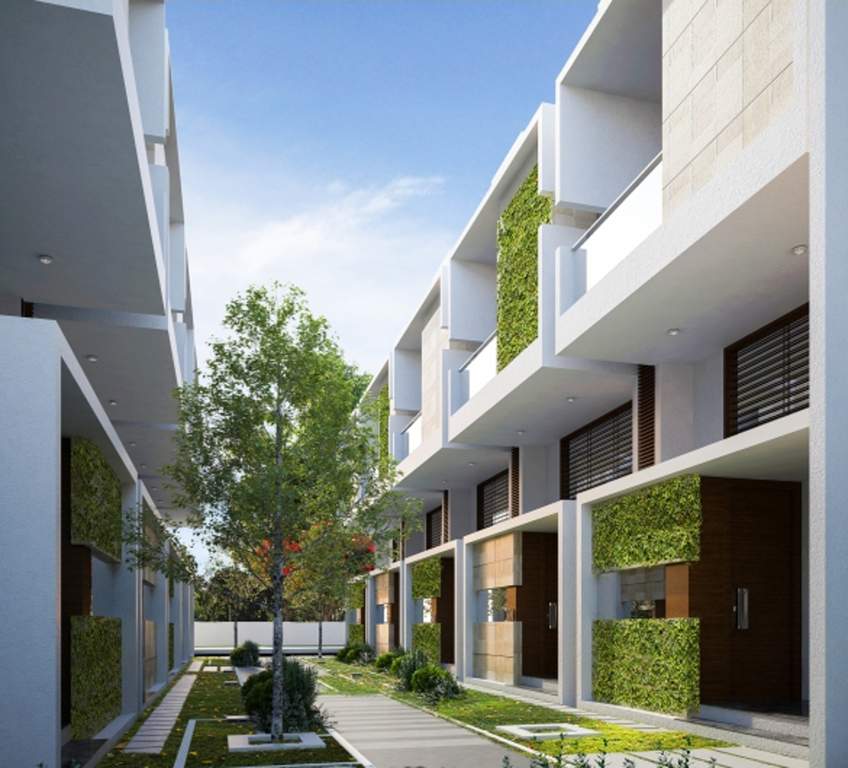 zen garden Images for Elevation of Citrus Zen Garden