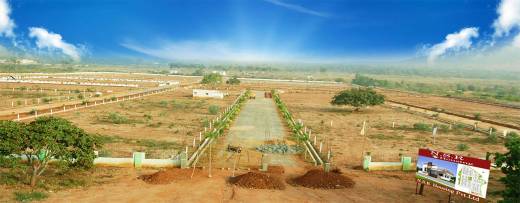 Images for Elevation of NSR Exotica