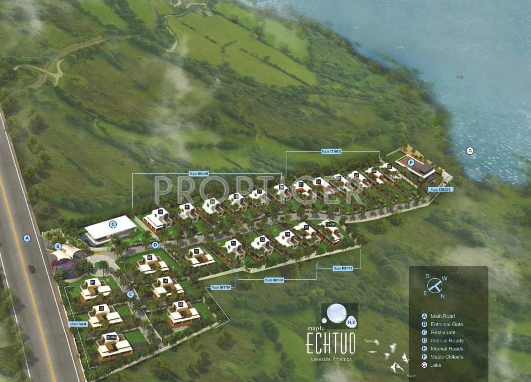 Images for Layout Plan of Maple Echtuo