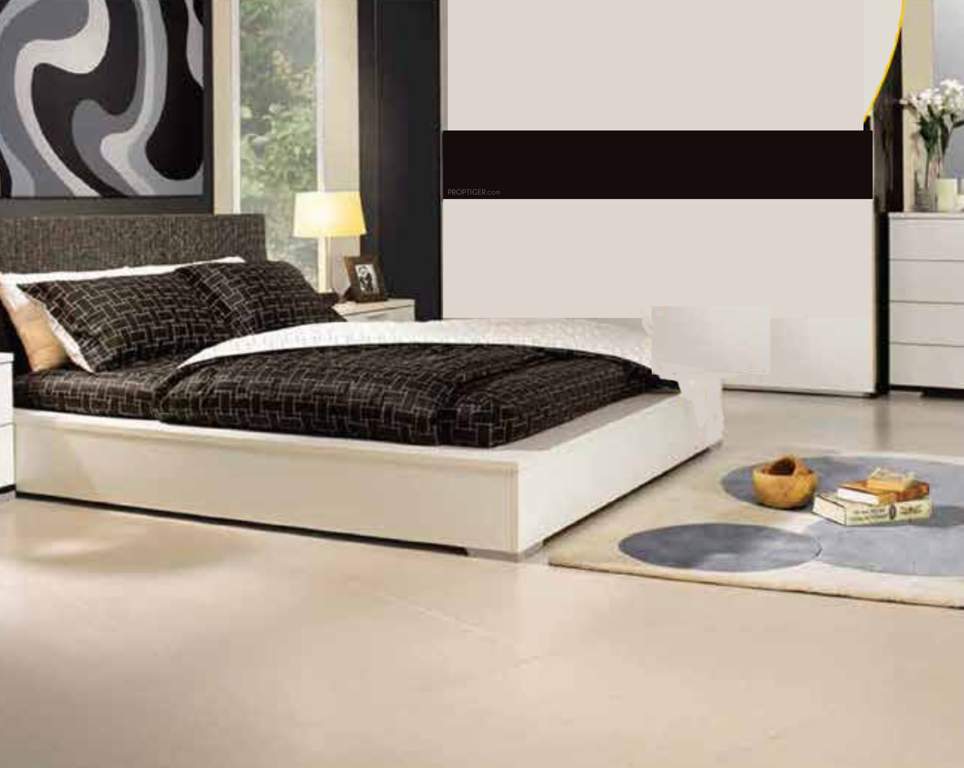  kallisto phase i Images for Main Other of Ornate Kallisto Phase I