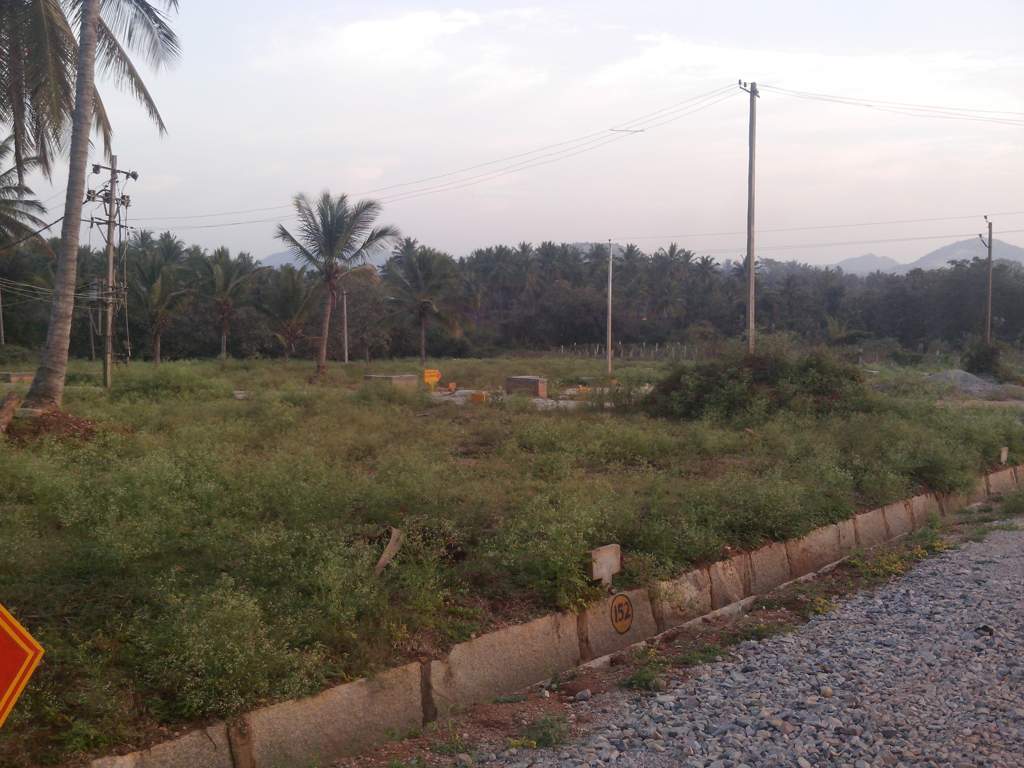 Images for Main Other of Prakruthi RNS Mandhara