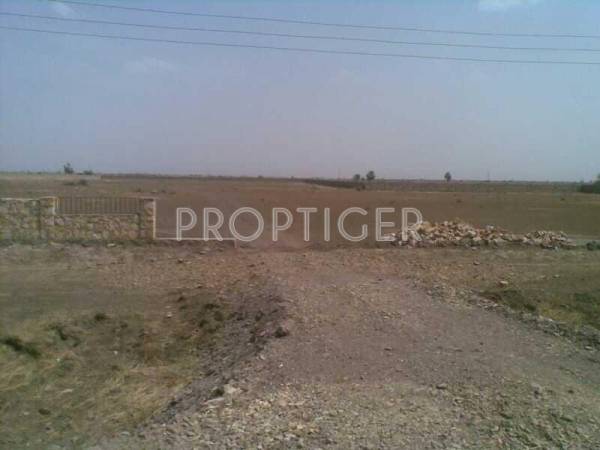 Images for Elevation of Magnanimous Pearl 3