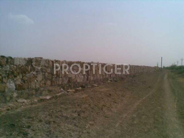 Images for Elevation of Magnanimous Pearl 3