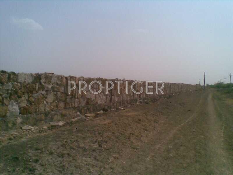 Images for Elevation of Magnanimous Pearl 3