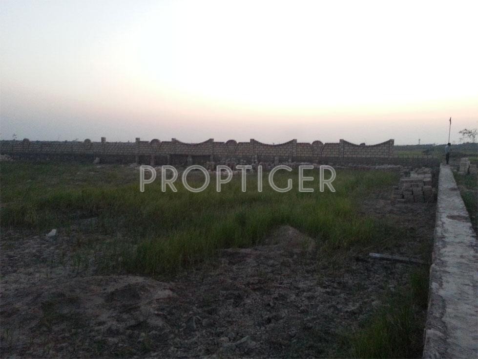 Images for Elevation of Magnanimous Greenz