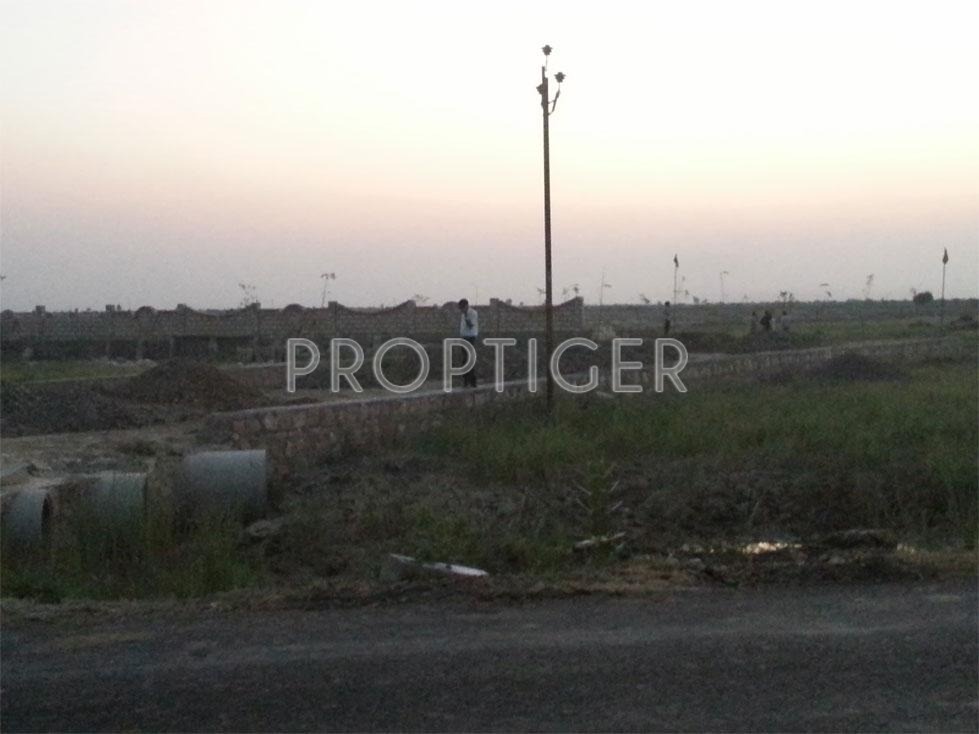 Images for Elevation of Magnanimous Greenz