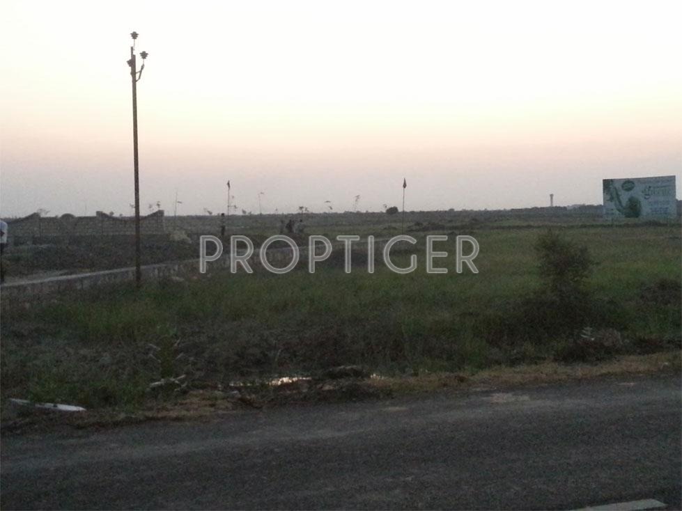 Images for Elevation of Magnanimous Greenz