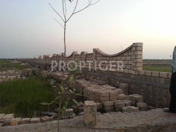 Images for Elevation of Magnanimous Greenz Images for Elevation of Magnanimous Greenz