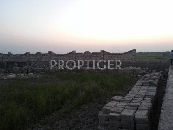 Images for Elevation of Magnanimous Greenz Images for Elevation of Magnanimous Greenz