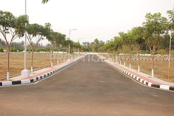  crest Images for Elevation of Legend Crest