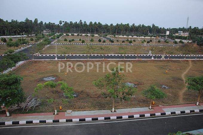  crest Images for Elevation of Legend Crest