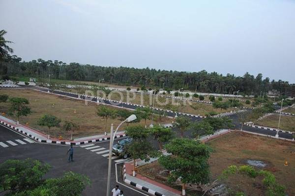 Images for Elevation of Legend Crest crest Images for Elevation of Legend Crest