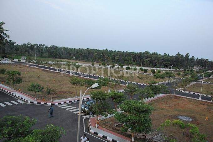  crest Images for Elevation of Legend Crest