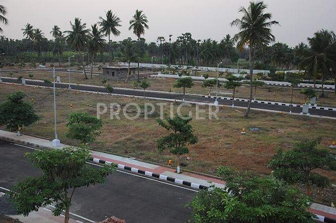  crest Images for Elevation of Legend Crest