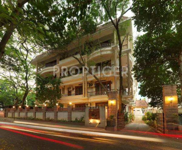 Images for Elevation of G Corp Group Spring Leaf