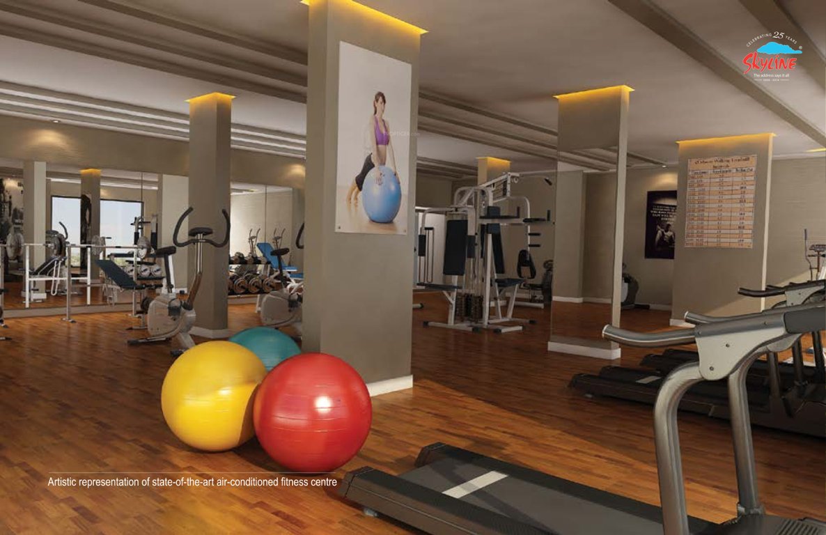 Images for Amenities of Skyline Pearl